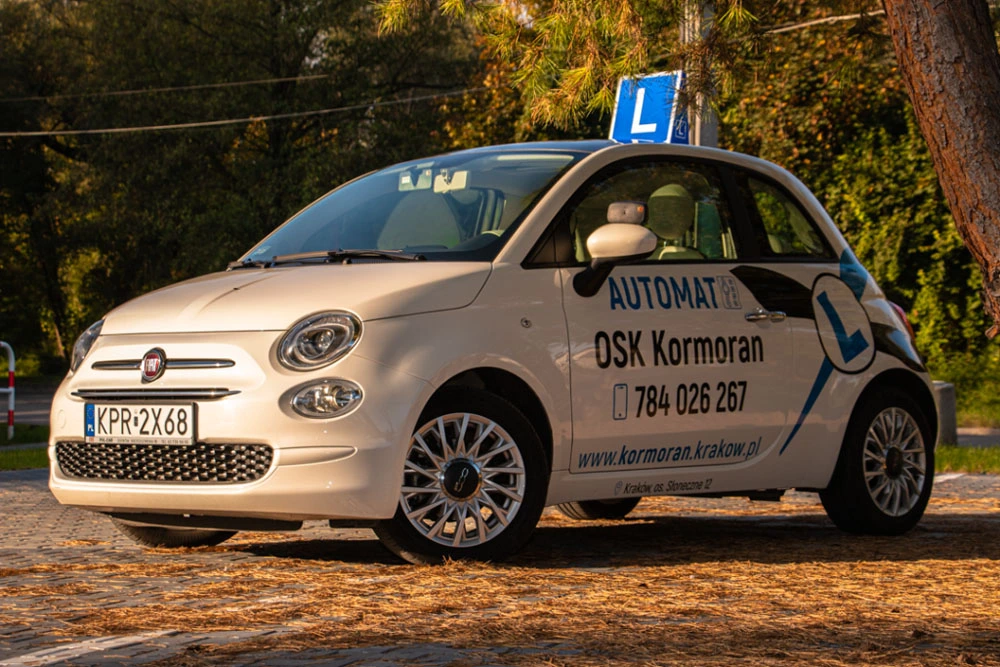 zdjecia galeria automat osk kormoran (8)